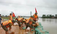 Vietnam se prepara para enfrentar desastres naturales