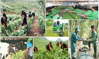 Enseñanza de oficios para los trabajadores en el campo vietnamita 