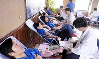 Vietnam celebra Día mundial del donante voluntario de sangre