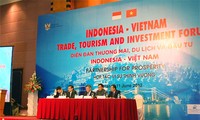 Vietnam-Indonesia: cooperación por la prosperidad