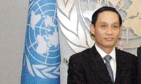 Vietnam apoya Tratado de la ONU sobre Comercio de Armas