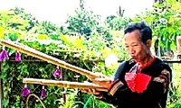 Artesano Ama H´Loan, protector de instrumentos musicales de Tay Nguyen
