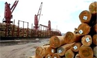 Crecen exportaciones de madera por esfuerzos de adaptación al mercado