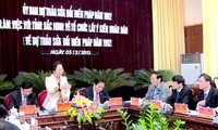 Gobierno vietnamita revisa consultas populares de enmienda constitucional