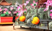 Quang Ninh listo para Carnaval Ha Long 2013