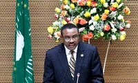 Los líderes africanos deciden crear una fuerza de reacción rápida