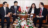 El presidente vietnamita considera el progreso de la cooperación con Indonesia