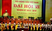 Asociación de agricultores de Vietnam presenta nuevo comité directivo 