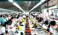 Exportación de calzado de cuero vietnamita suman 4 mil 800 millones de dólares