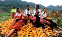 FAO: Sudeste de Asia protagoniza lucha contra el hambre