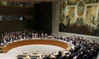 Consejo de Seguridad de la ONU elige nuevos miembros