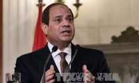 Egyptian President to pay historic visit to Vietnam