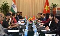 Vietnam, India hold 9th political consultation, 6th strategic dialogue