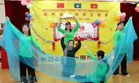 Overseas Vietnamese welcome Lunar New Year 