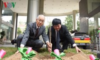 Kairinjuku University presents 100 sakura trees to VOV
