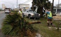 US declares state of emergency in Alabama following Hurricane Michael