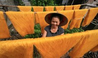 The beauty of working women in Vietnam
