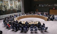 UN Security Council holds first vote by email amid coronavirus pandemic