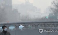 환경 보호 : 한국, 미세 먼지 감소 긴급 대책들 적용