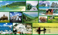 2019년 상반기동안 베트남 관광 증가율