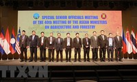 AMAF ASEAN+3 농림업 고위급 관계자 특별 회의