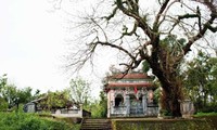 프억 띡  옛마을, 성차원의 관광지로 공인