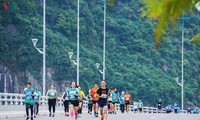하롱베이 국제 마라톤 대회