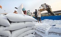 베트남, 한국 시장에 쌀 수출 기회