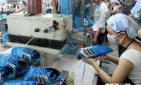 베트남 신발-가죽업계, 20억 달러 수출 달성에 많은 기회