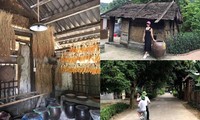 비엣하이 마을 탐구 : 원시적이며 낭만적인 아름다움