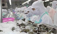 12개 베트남 기업, 사우디아라비아에 수산물 수출 재개 