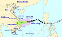 태풍 고니, 꽝아이–푸옌 해역에서 열대저기압으로 약화 예정