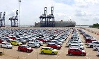 베트남 수입 자동차 감소
