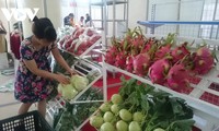 세계무역기구 가입 이후 베트남 농업의 도약적 발전