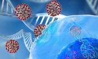 변종 코로나19 바이러스, PCR 실험에 미발견 가능성