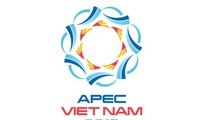  Installation des statues des économies membres de l’APEC à Dà Nang