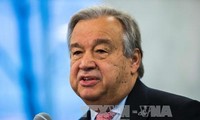 Guterres met en garde contre la menace croissante liée aux armes de destruction massive