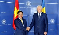 Pham Binh Minh en visite en Roumanie