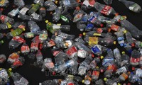 L'Union européenne interdit pailles, gobelets et couverts en plastique d'ici 2021 