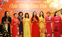 Les communautés vietnamiennes de l’étranger fêtent le Nouvel an lunaire  