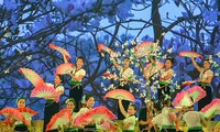 La fête des fleurs de bauhinie en mars à Diên Biên