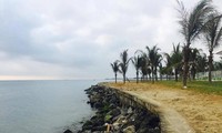 Des experts hollandais proposent des solutions pour réduire les érosions à la plage de Cua Dai