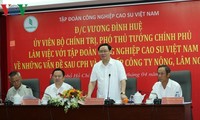 Vuong Dinh Huê demande au groupe Caoutchouc de décupler son capital