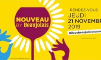 Beaujolais nouveau 2019 : des «arômes de fruits noirs» cette année 