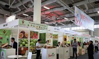 Des entreprises vietnamiennes au Fruit Logistica 2020 à Berlin