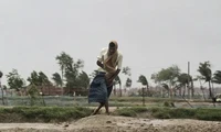 Vents à 190 km/h et pluies torrentielles… Le cyclone Amphan déferle sur l’Inde et le Bangladesh