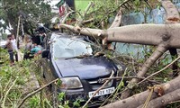 Le bilan du cyclone Amphan dépasse les 100 morts en Inde et au Bangladesh