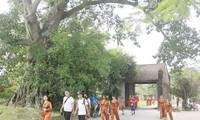 Le village de Duong Lâm fête le 15e anniversaire de sa reconnaissance en tant que vestige national