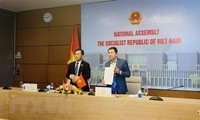 Le Vietnam participe à la 12e réunion du Groupe consultatif de l’AIPA