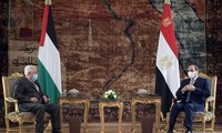 Les présidents égyptien et palestinien discutent du processus de paix israélo-palestinien